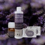 Pack espliego grande con fondo de lavanda