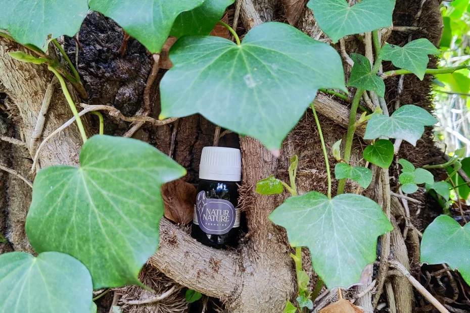 Tradiciones - Natur Nature