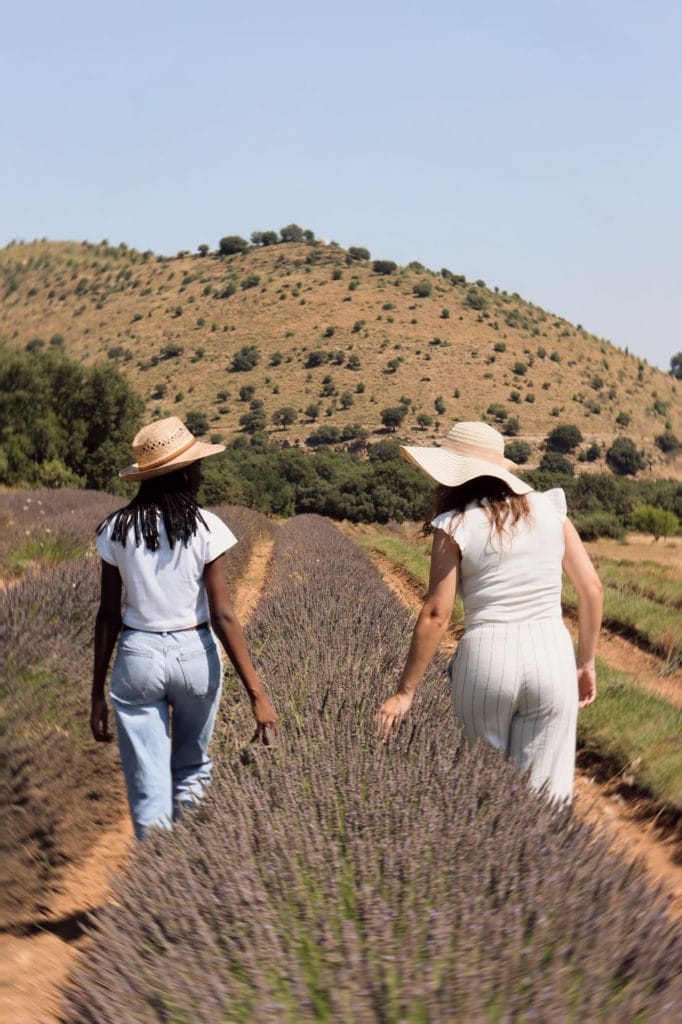 Paseo entre lavanda