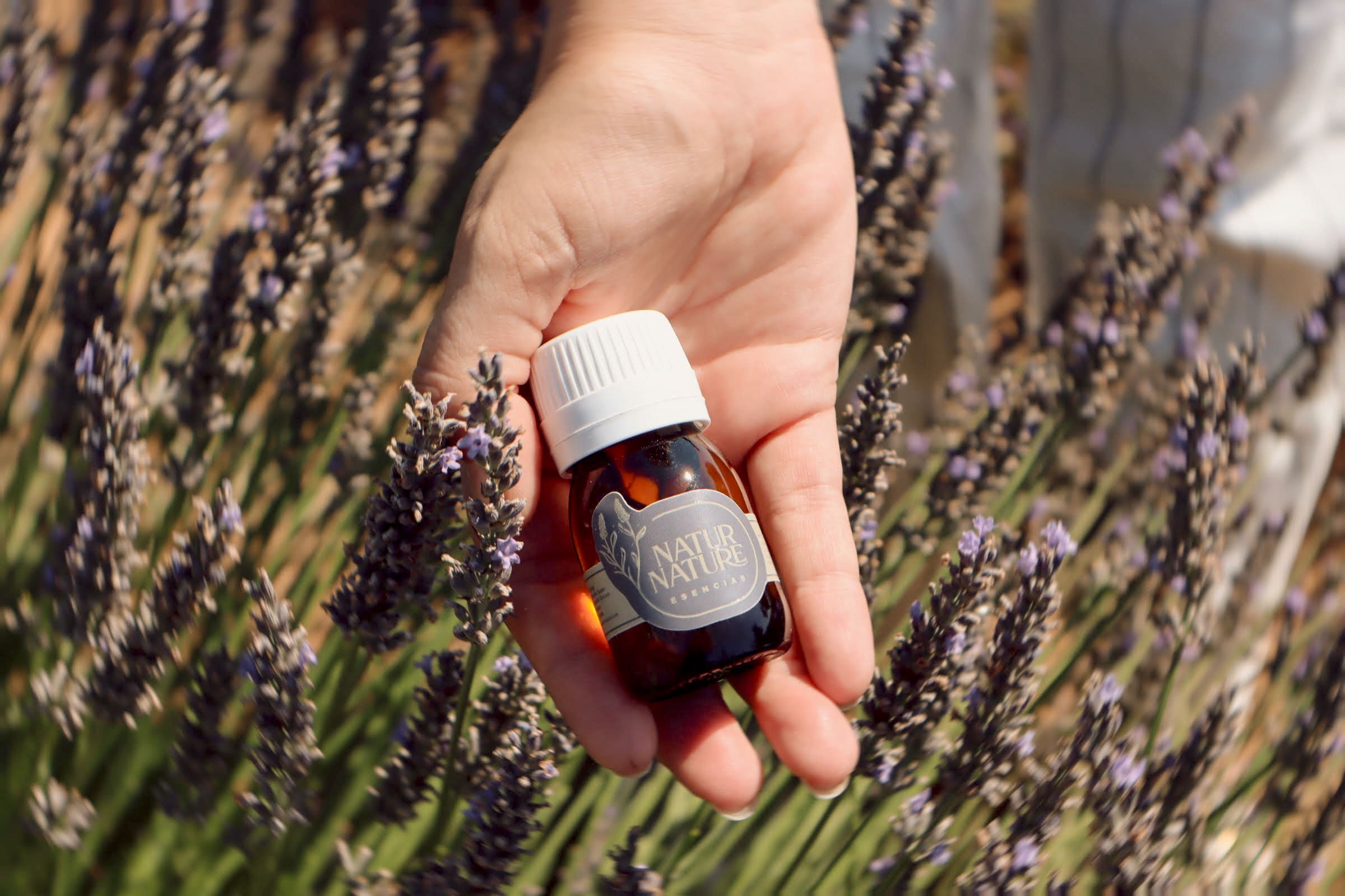 Aceite esencial de Tomillo Rojo - Imagen 2