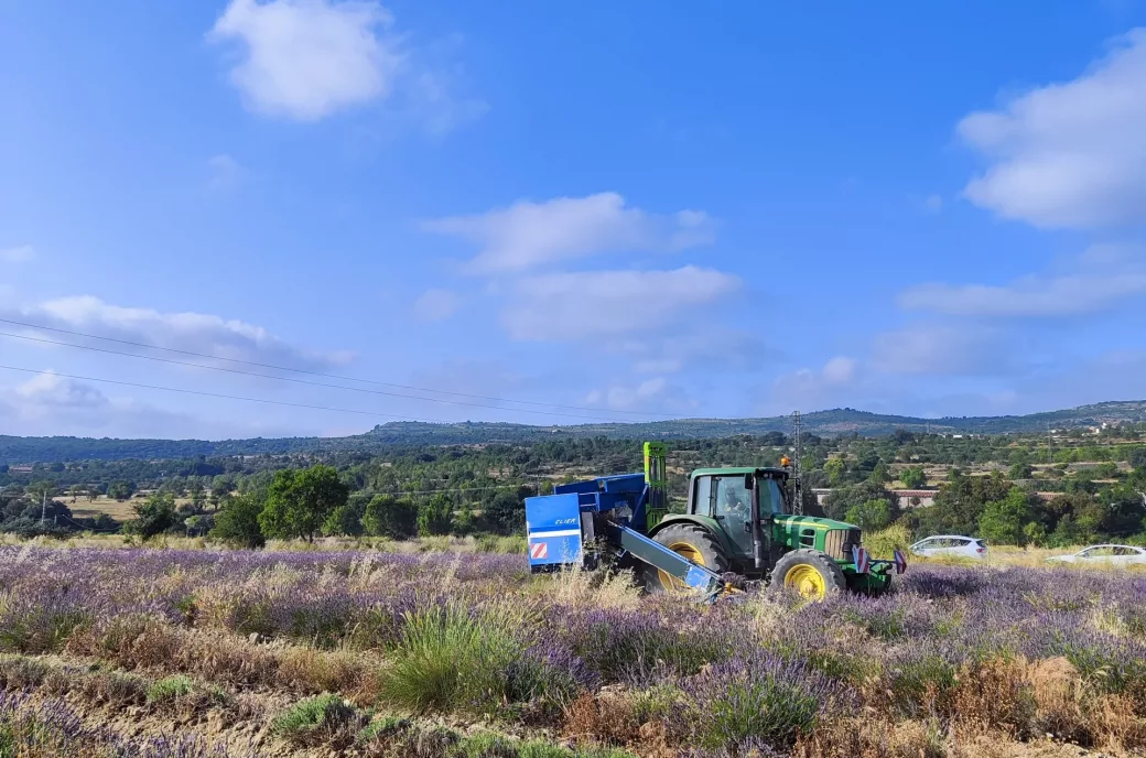 Cosecha Esencias de Els Ports